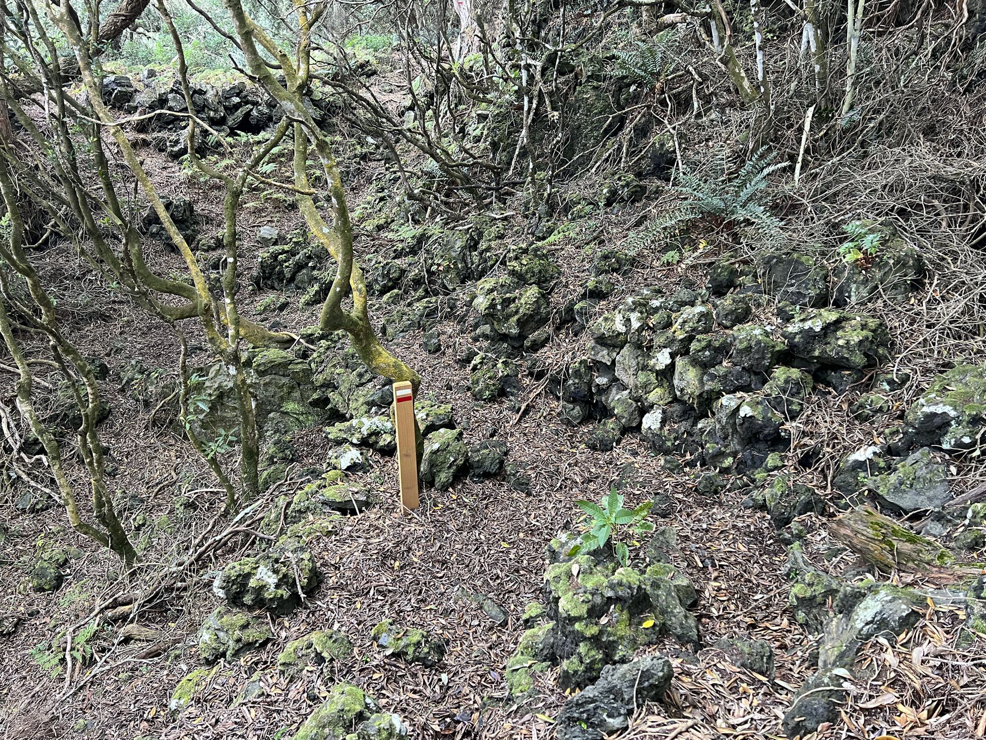 Un accidentado sendero de aventuras conduce a Ponta do Queimado