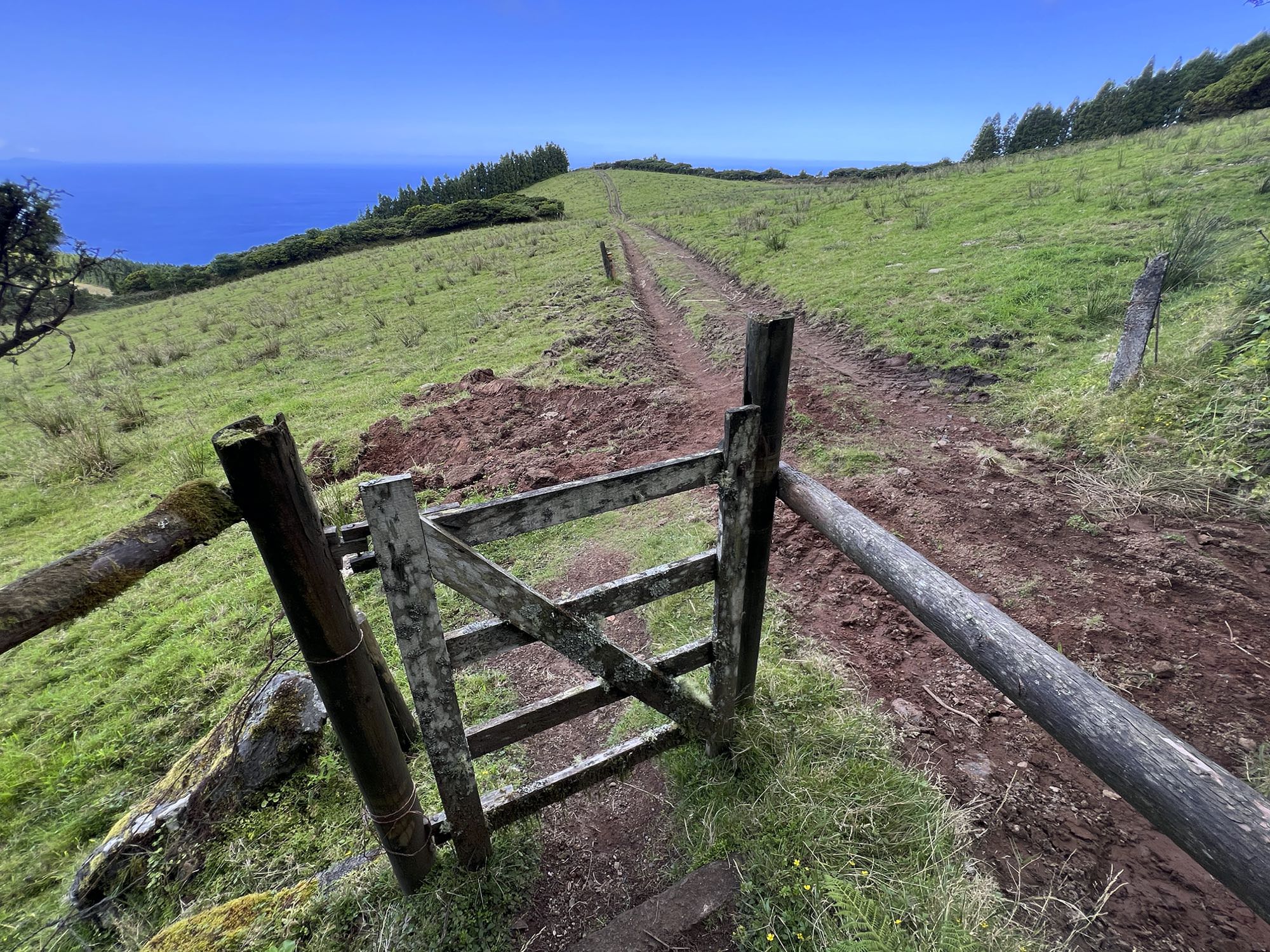 Der Wanderweg führt auch teilweise über Weideland