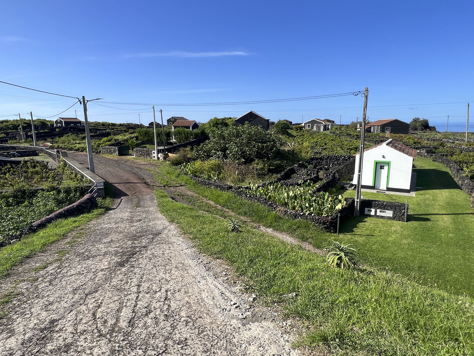 De petites adegas sont disséminées le long de la deuxième rangée de bâtiments, le long de la côte.