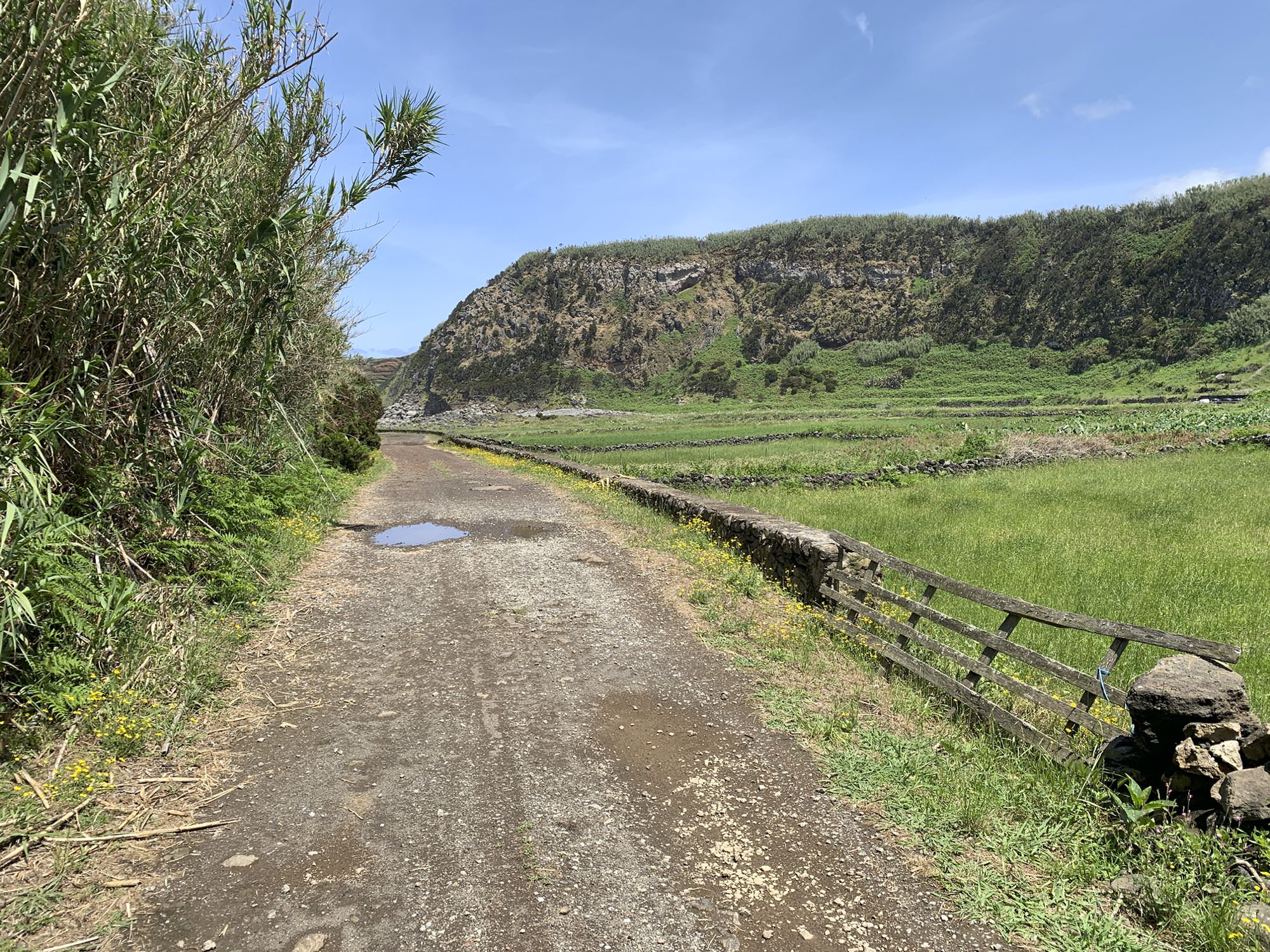 Wanderweg in der Küstenebene von Fajãzinha