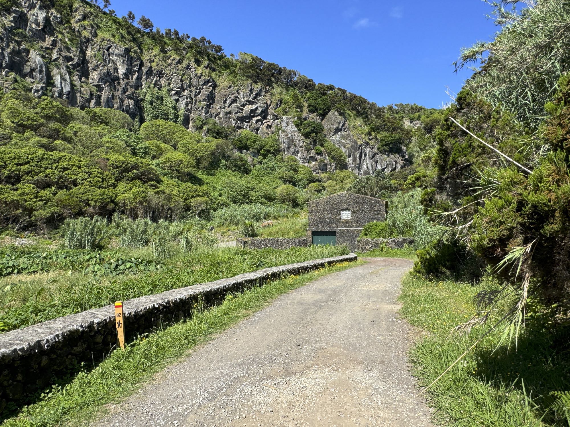 Galeriebild 11
