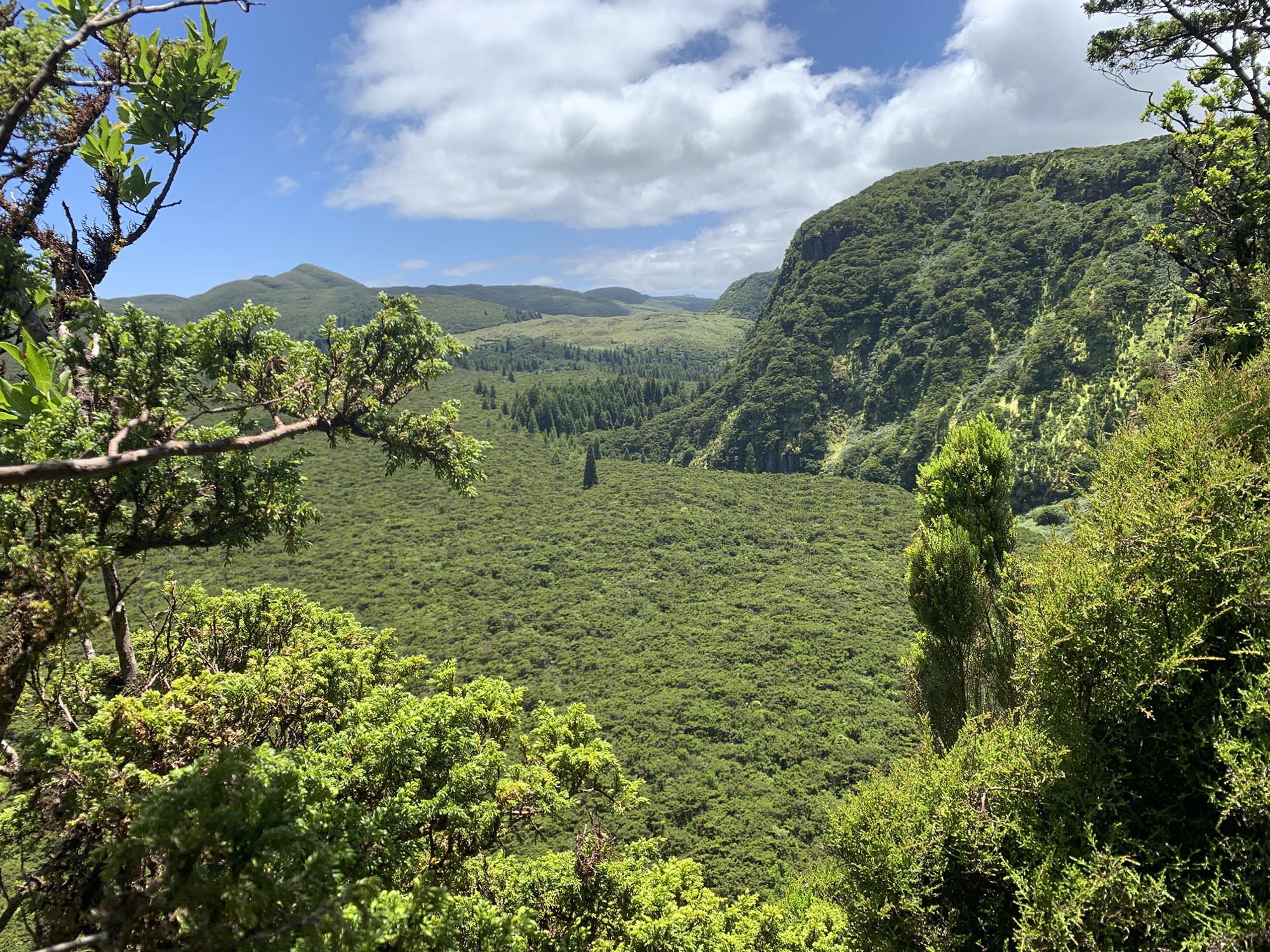 Blick vom Rocha do Chambre aufs Reserva Florestal Natural Parcial do Biscoito da Ferraria