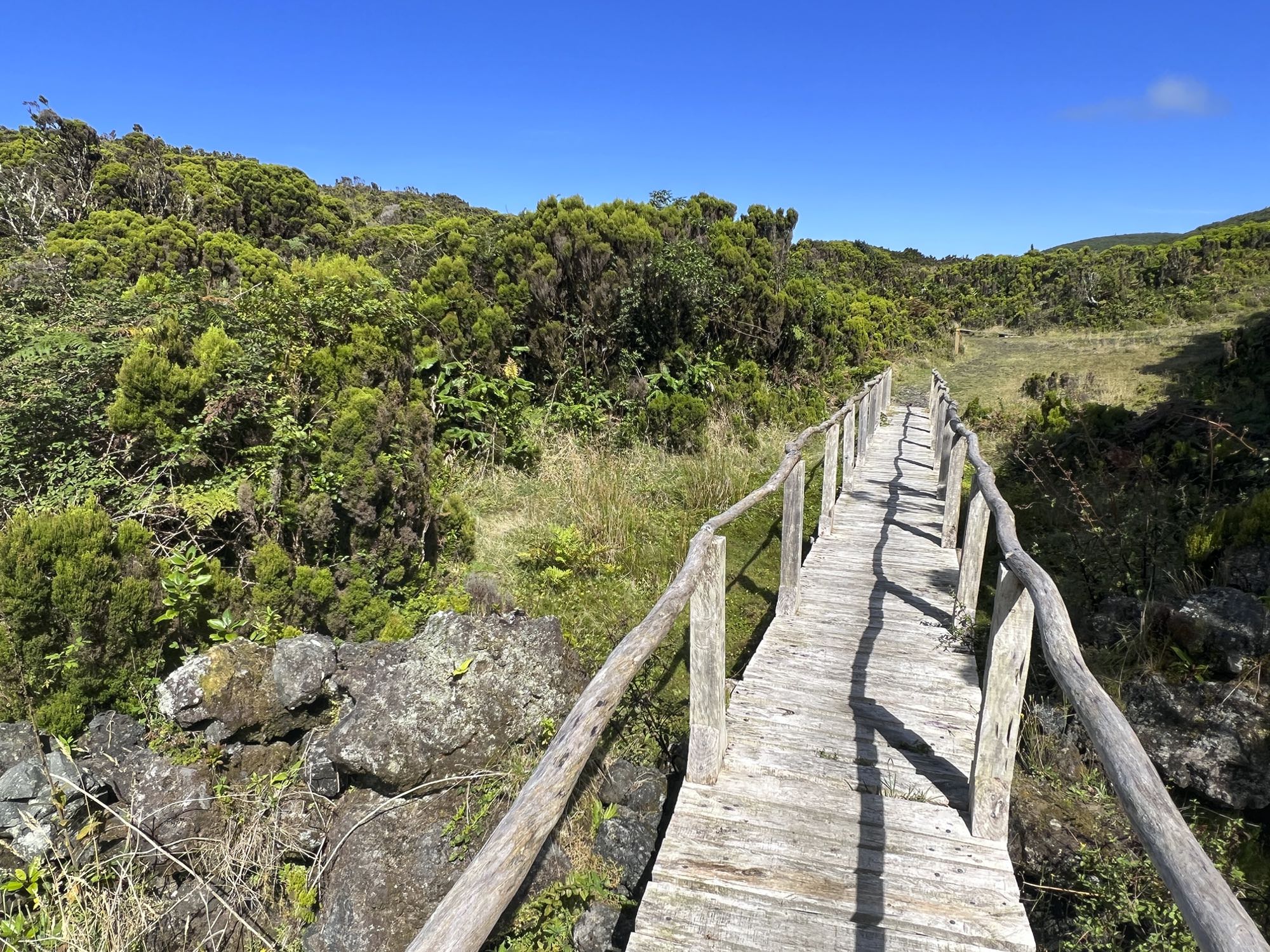 Der Wanderweg führt stellenweise über Holzstege durch das Naturschutzgebiet