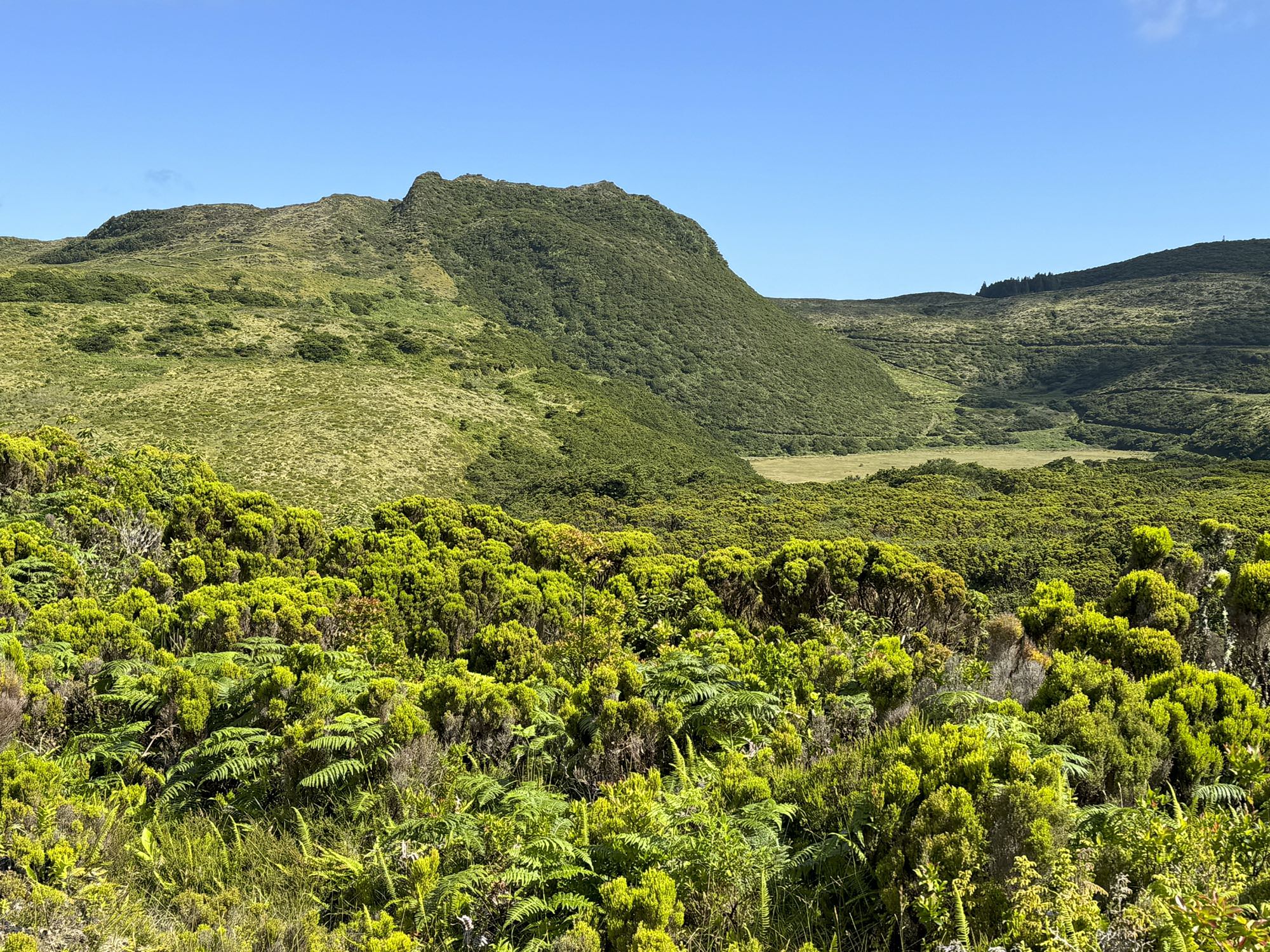 Der Wanderweg führt am Reserva Florestal Natural Parcial do Biscoito da Ferraria vorbei