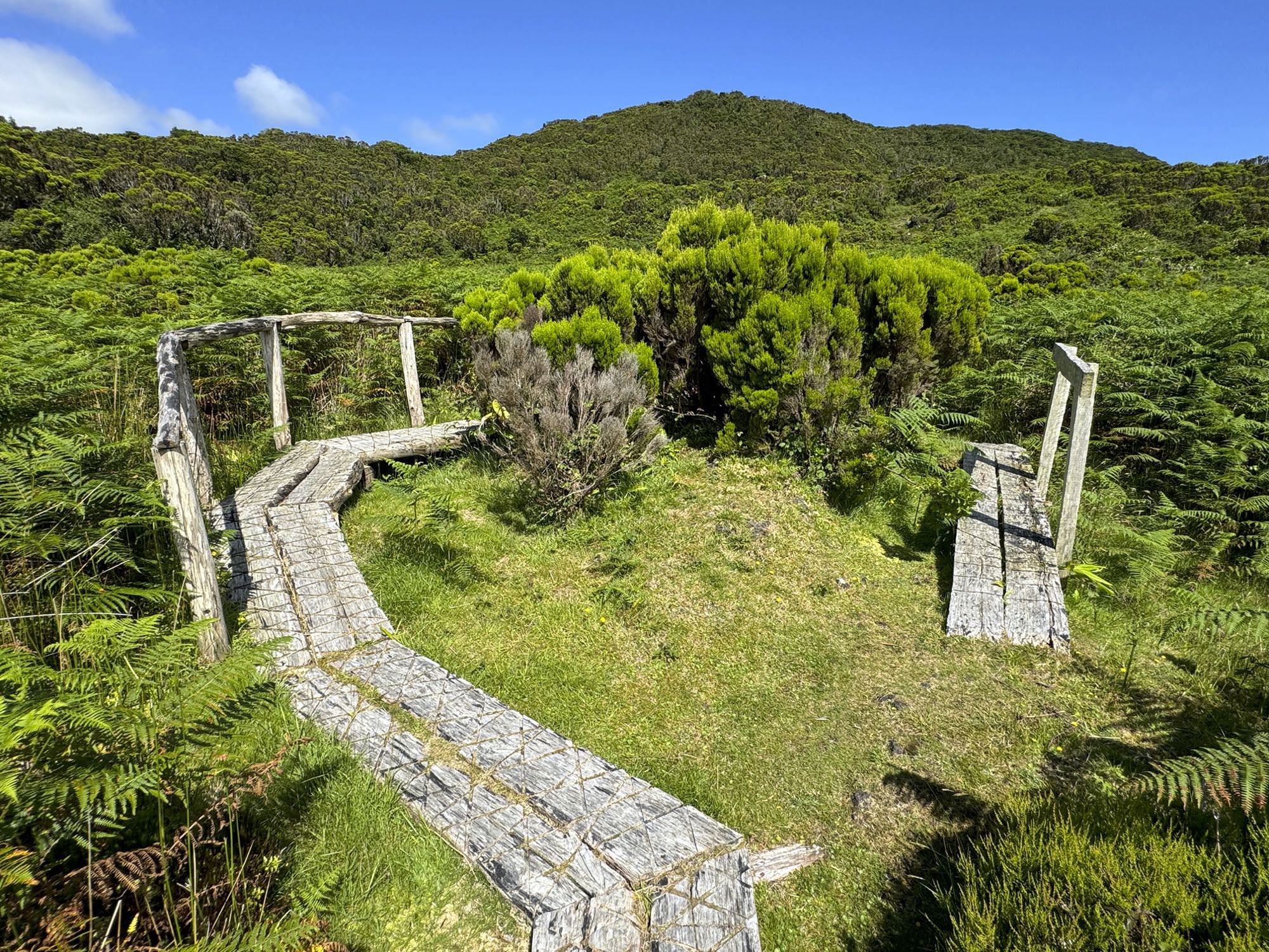 Der Rückweg führt teilweise über Holzstege