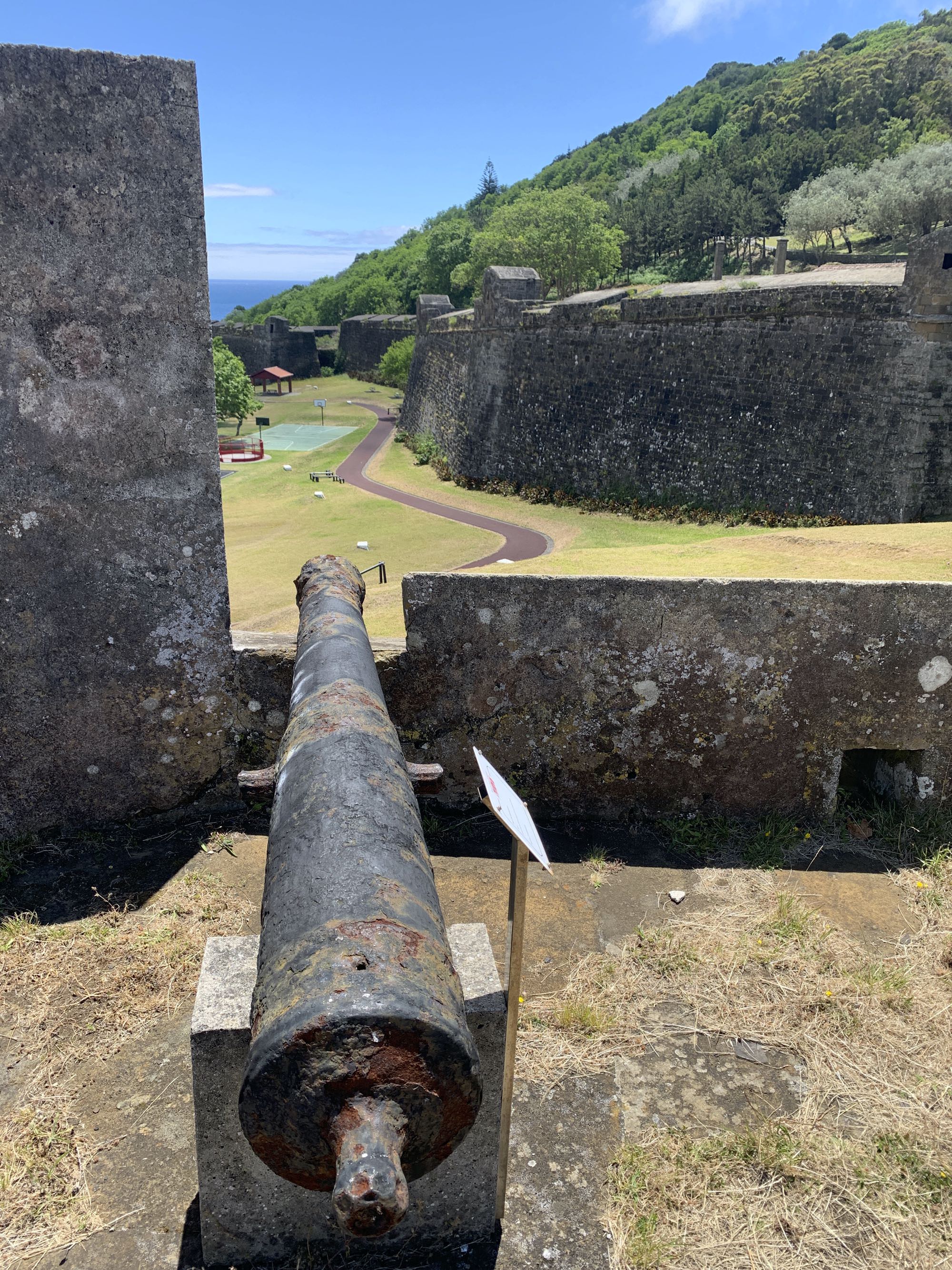 Alte Kanone am Fortaleza de São João Batista