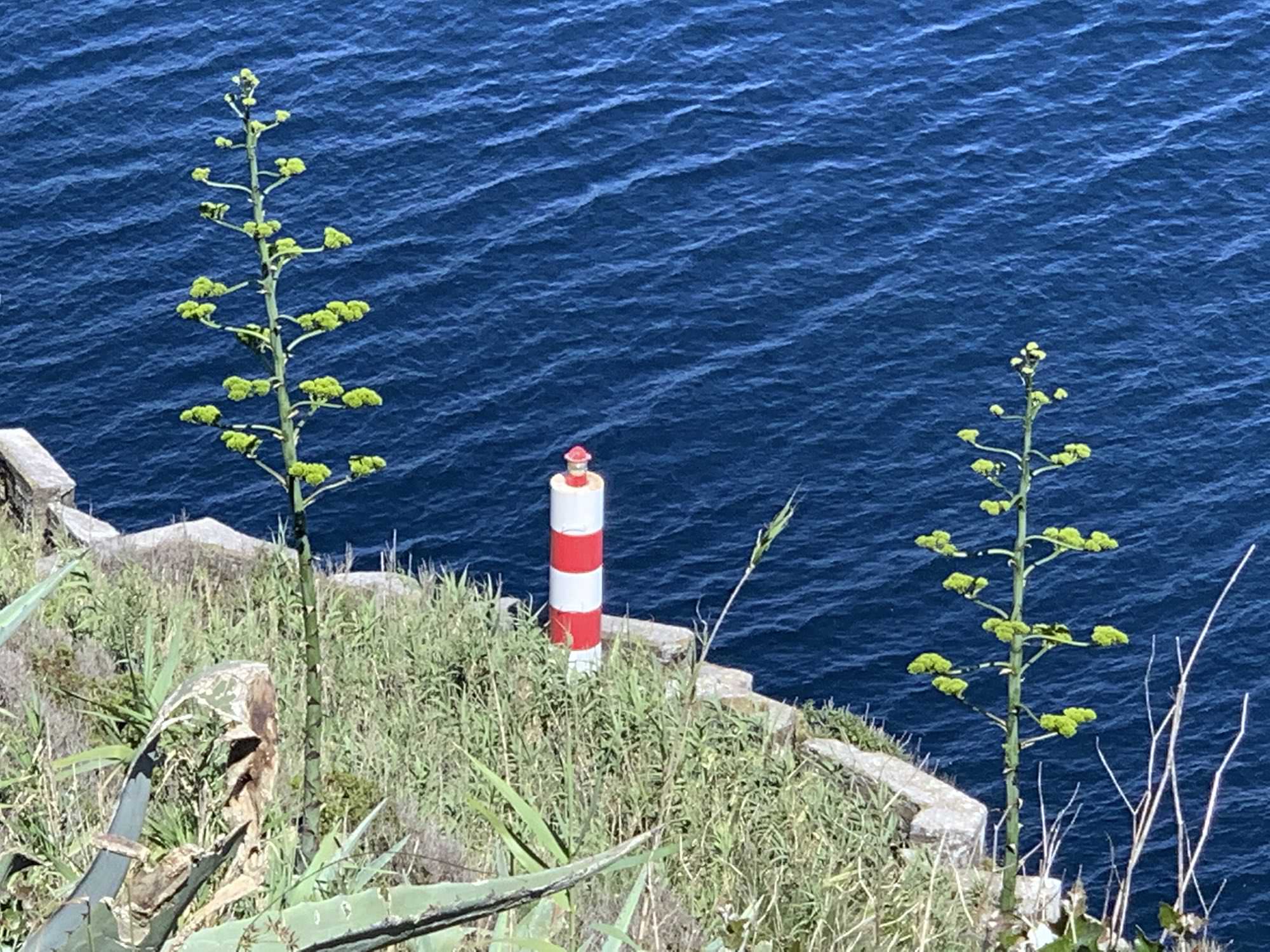 Blick auf den Farol da Ponta de Santo António
