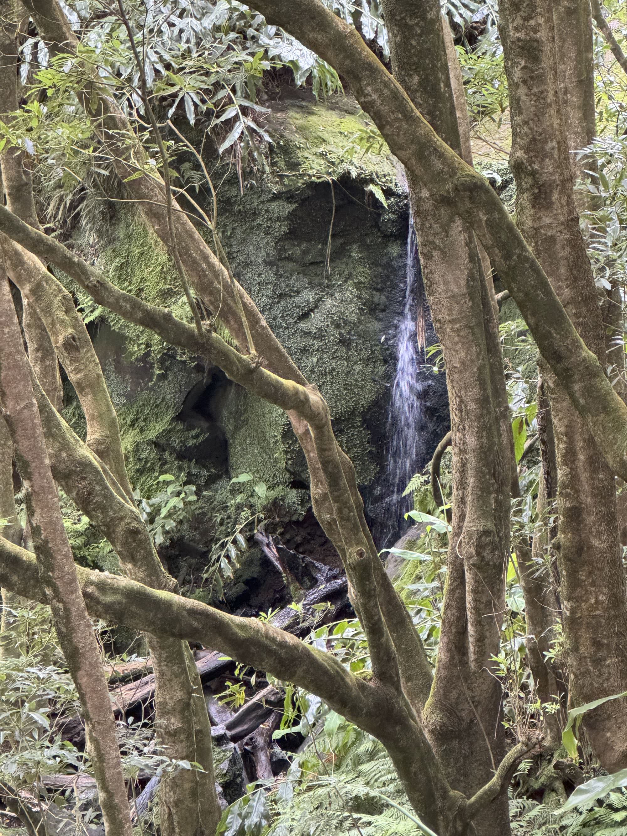 Versteckter Wasserfall entlang des Wegs