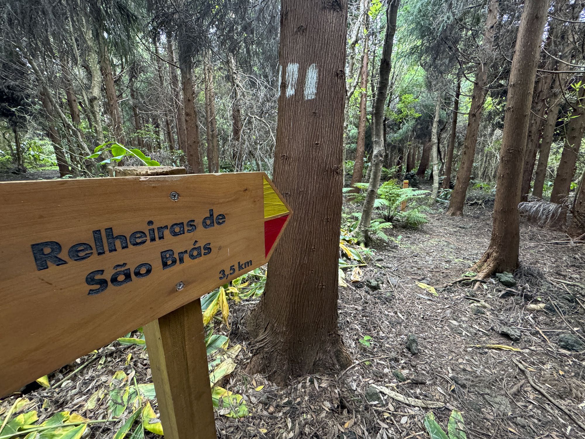 Der Wanderweg führt als Zickzack-Pfad durch den Wald