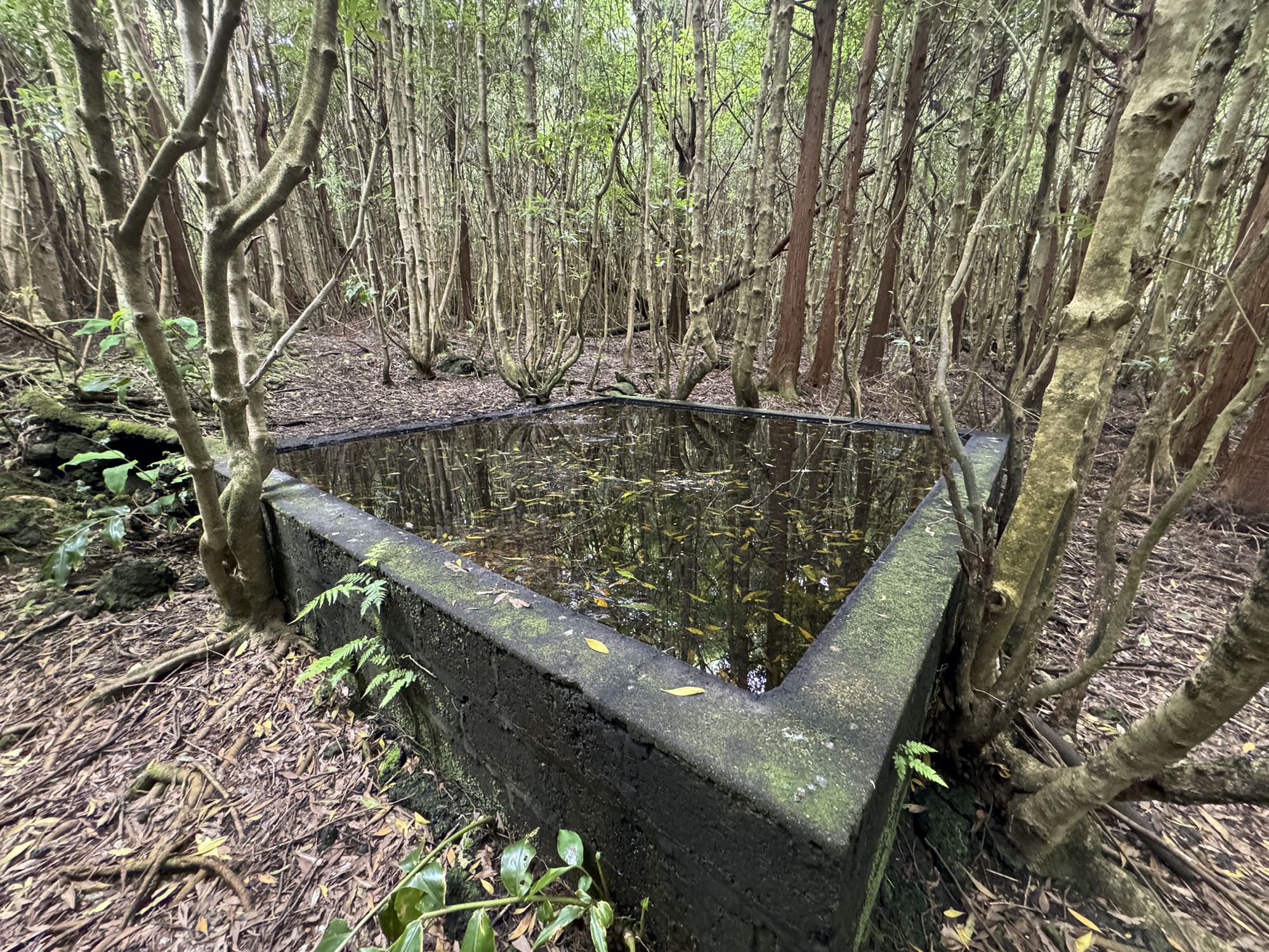 Uraltes Wasserbecken entlang des Wegs