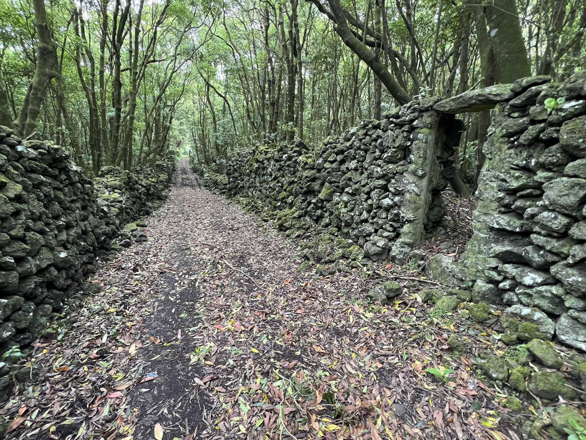 Wegabschnitt im Bereich Trás Dos Pomares
