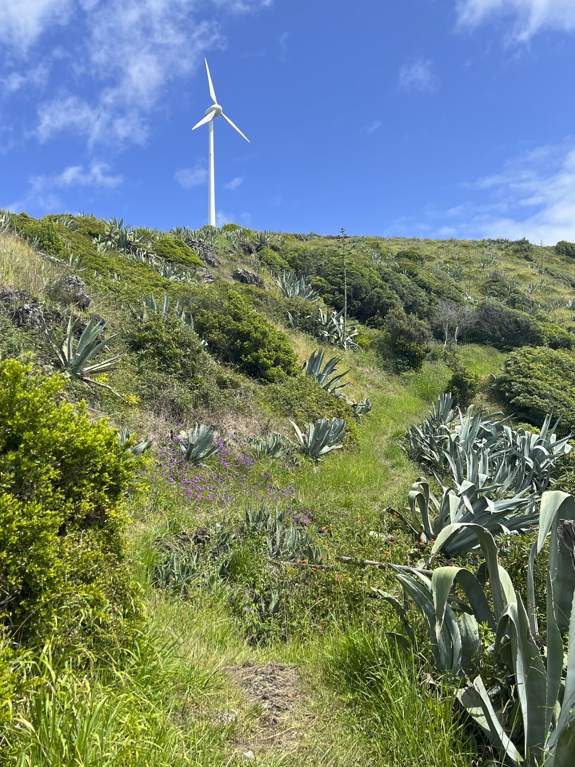 Wanderweg unterhalb des Windparks von Santa Maria