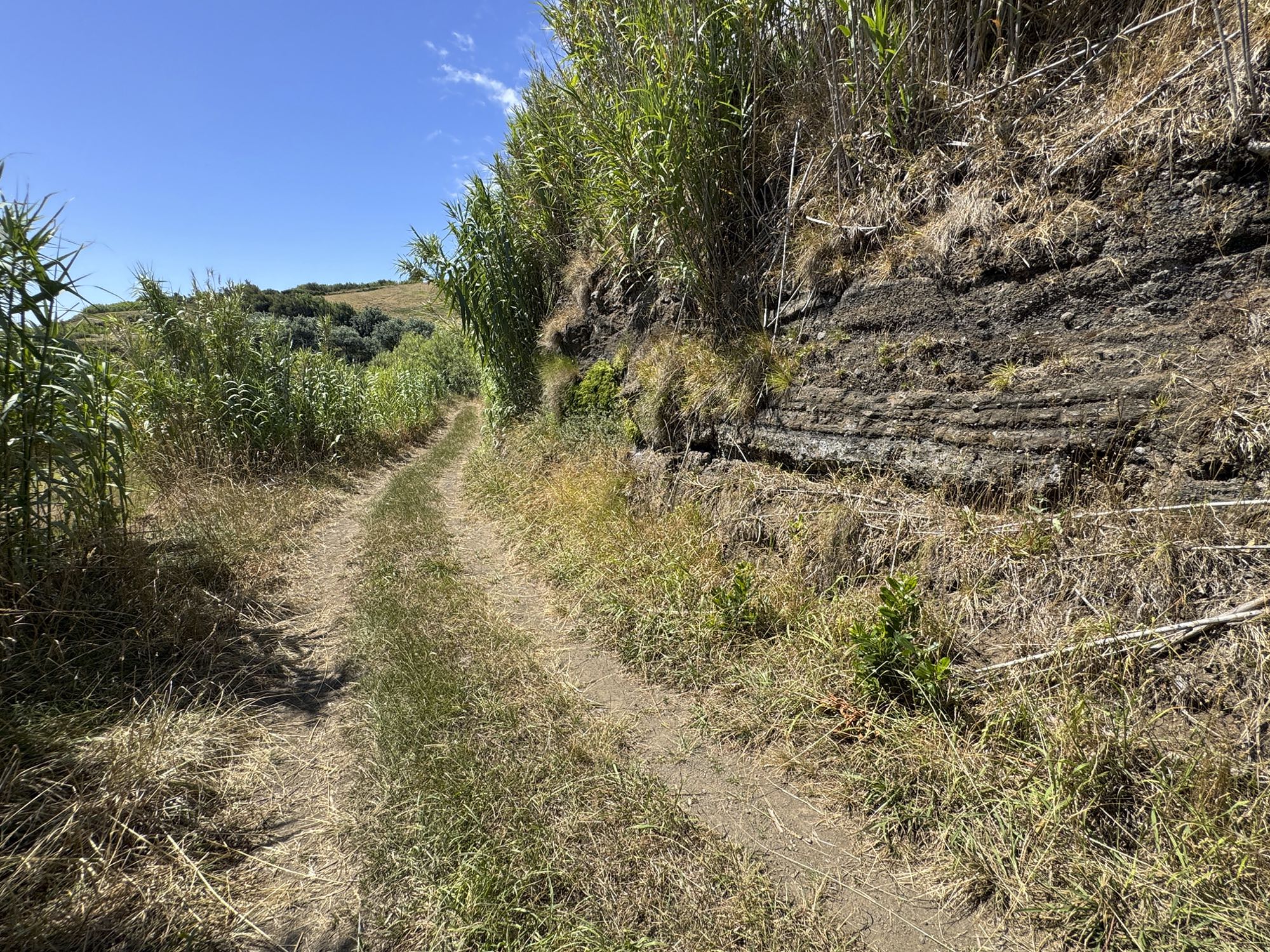 Feldweg nahe der Fonte da Rocha