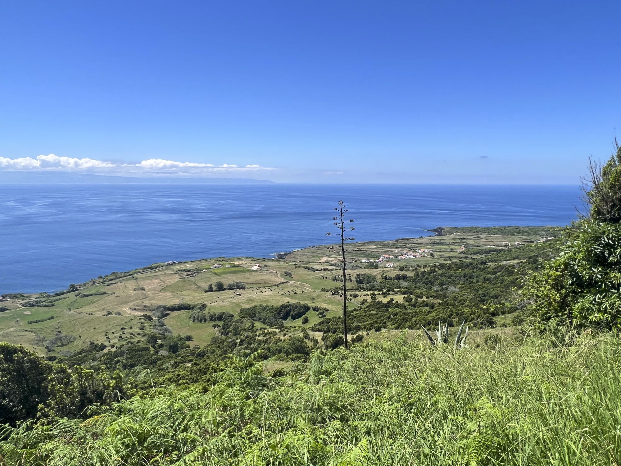 Blick über Alto do Sul bis São Jorge