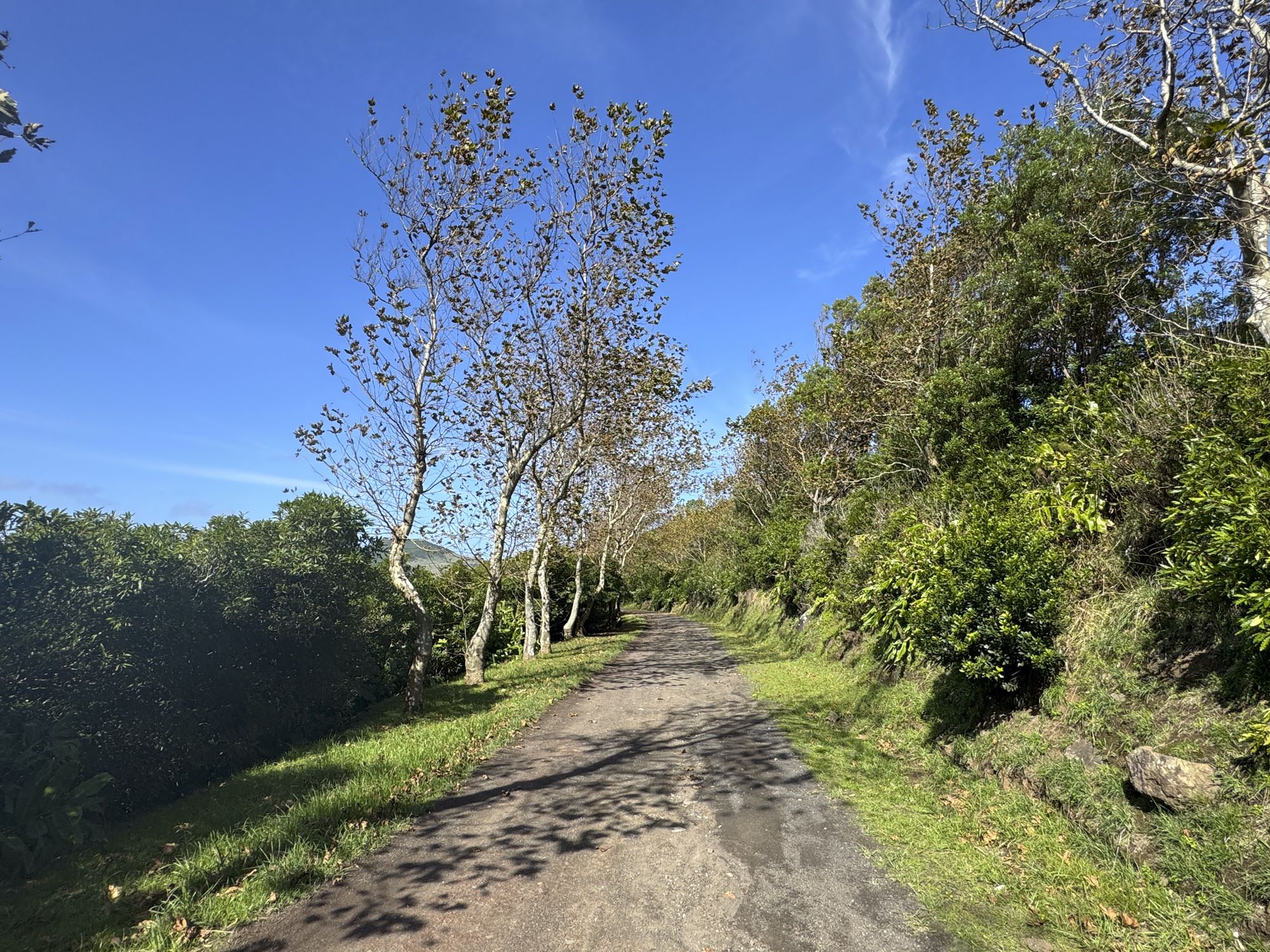 Ringweg um die Caldeira