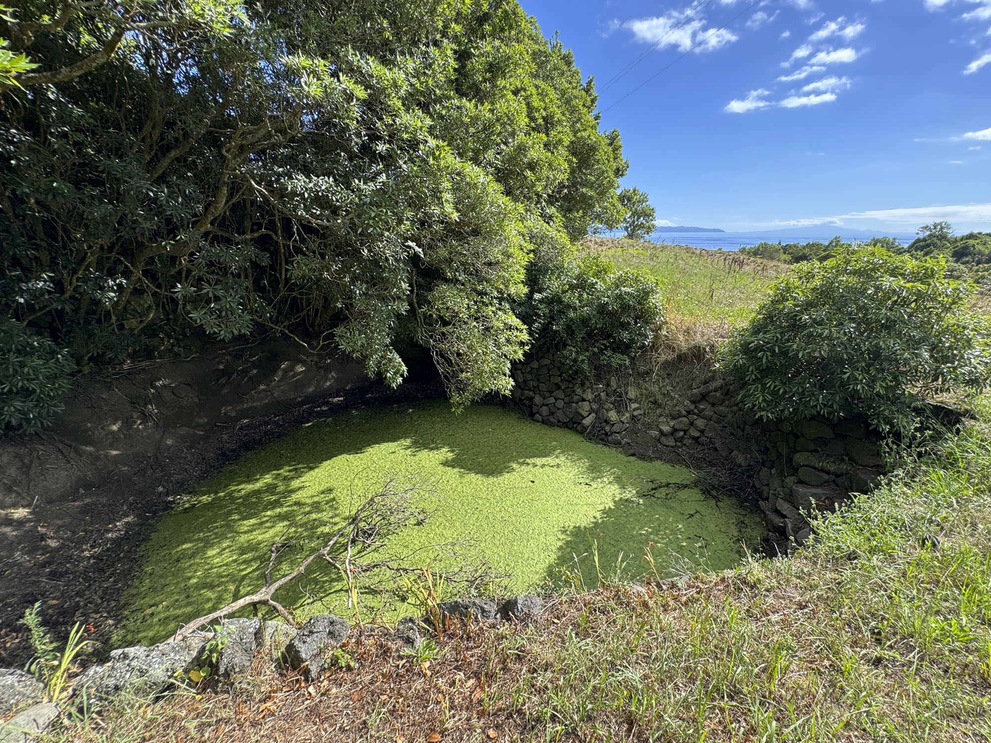 Fonte de Nesquim