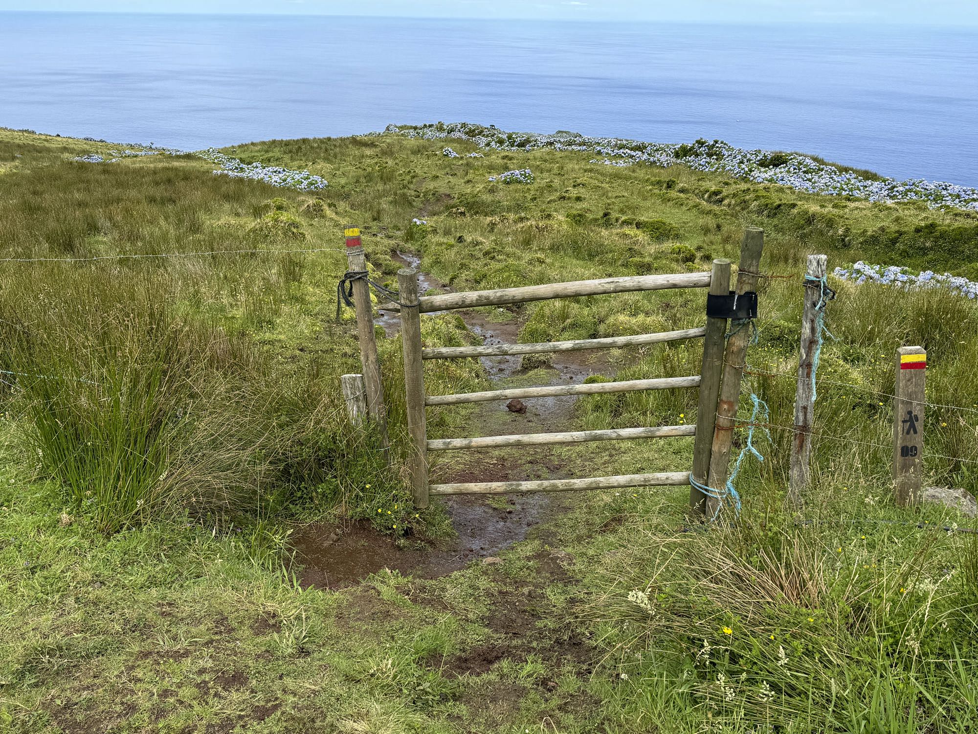Hinter dem Holzgatter beginnt der Abstiegspfad nach Fajã Grande