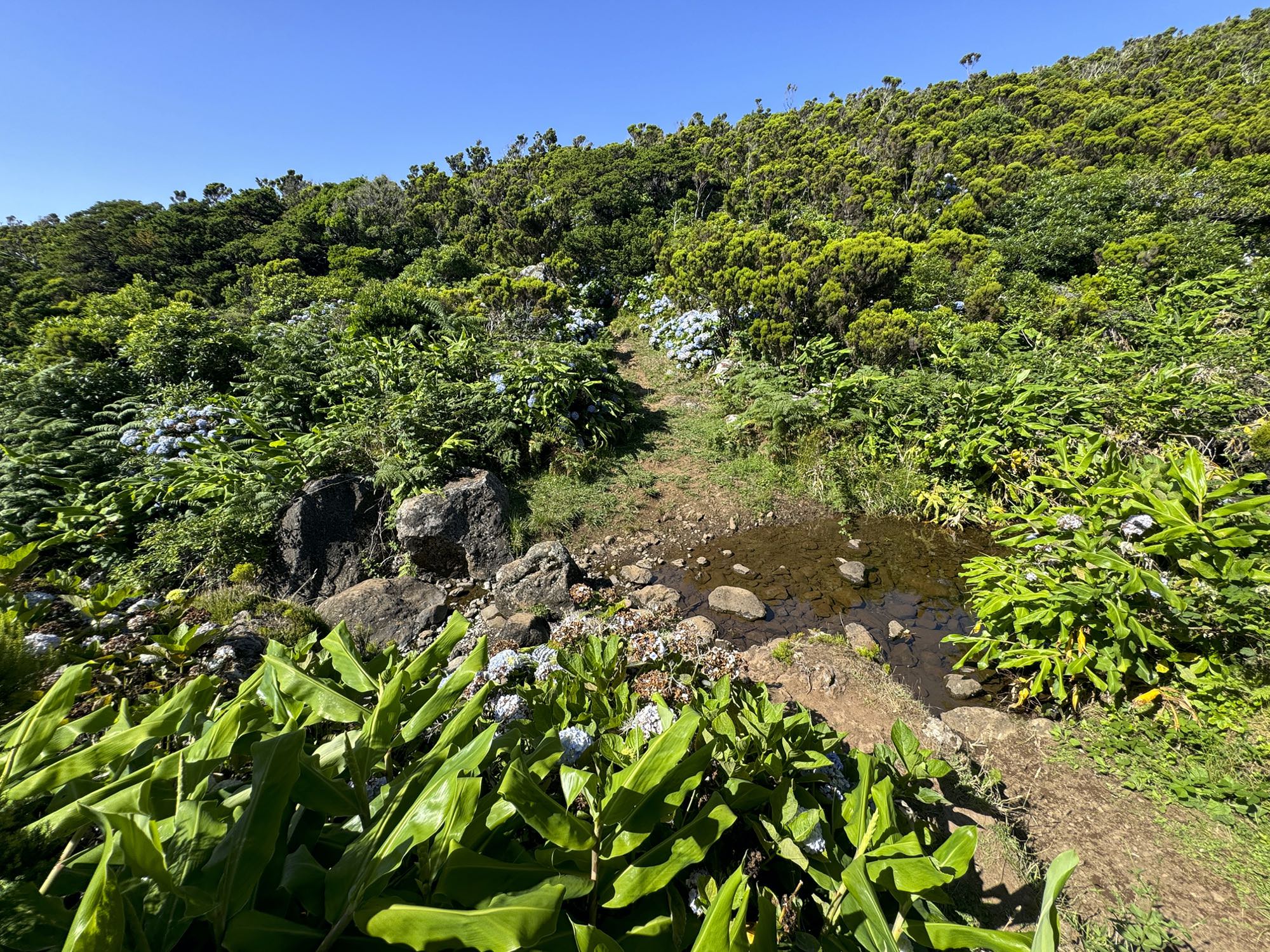 Ribeira do Monte Gordo